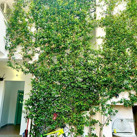 Myslym Shyri 3* 地拉那