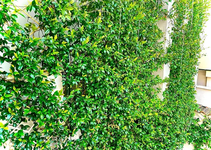 Myslym Shyri 酒店 地拉那