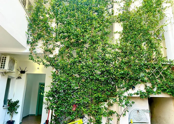 Myslym Shyri 3* 地拉那