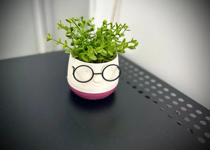 Myslym Shyri 地拉那