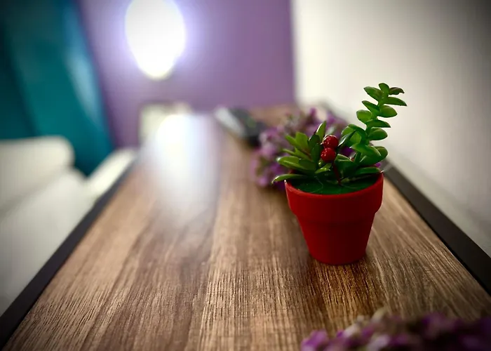 酒店 Myslym Shyri 3*